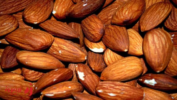 تصویر 1 از قیمت خرید بادام درختی شور + فروش ویژه